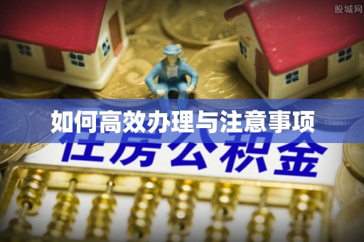 墨脱如何高效办理与注意事项