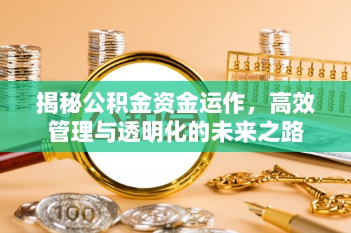 墨脱揭秘公积金资金运作，高效管理与透明化的未来之路