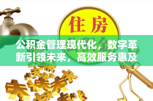 墨脱公积金管理现代化，数字革新引领未来，高效服务惠及民生