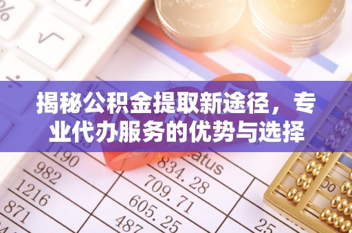 墨脱揭秘公积金提取新途径，专业代办服务的优势与选择