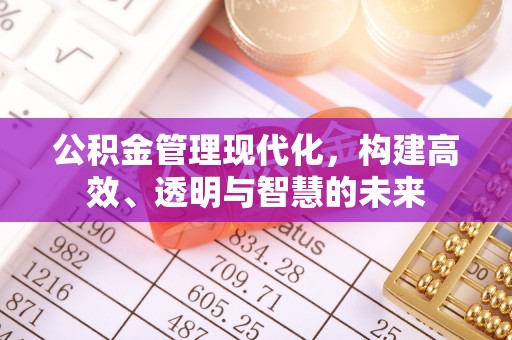 墨脱公积金管理现代化，构建高效、透明与智慧的未来