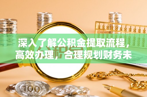 墨脱深入了解公积金提取流程，高效办理，合理规划财务未来