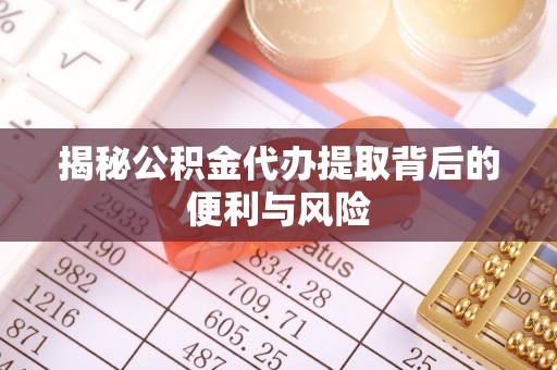 墨脱揭秘公积金代办提取背后的便利与风险