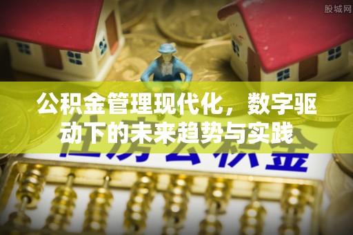墨脱公积金管理现代化，数字驱动下的未来趋势与实践
