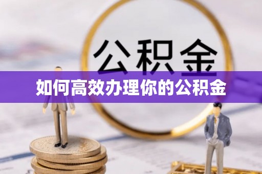墨脱如何高效办理你的公积金