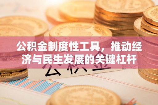墨脱公积金制度性工具，推动经济与民生发展的关键杠杆