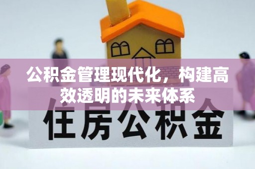 墨脱公积金管理现代化，构建高效透明的未来体系