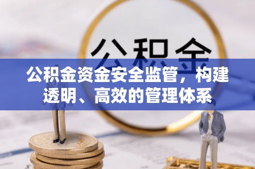 墨脱公积金资金安全监管，构建透明、高效的管理体系