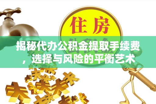墨脱揭秘代办公积金提取手续费，选择与风险的平衡艺术
