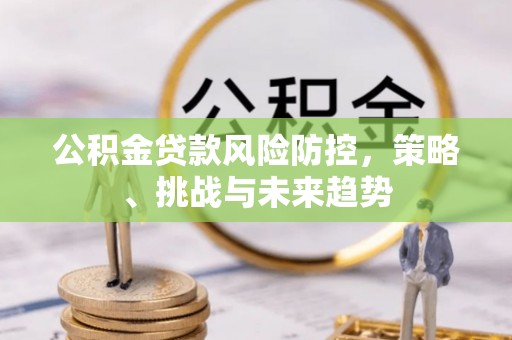 墨脱公积金贷款风险防控，策略、挑战与未来趋势