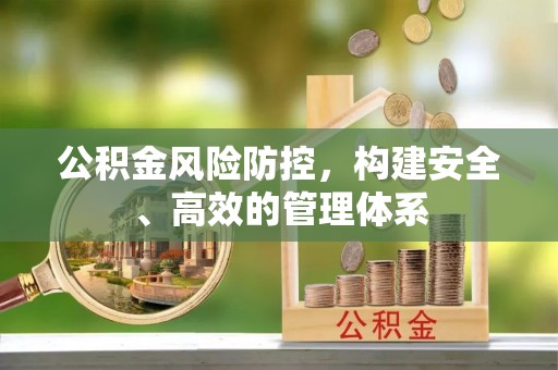 墨脱公积金风险防控，构建安全、高效的管理体系