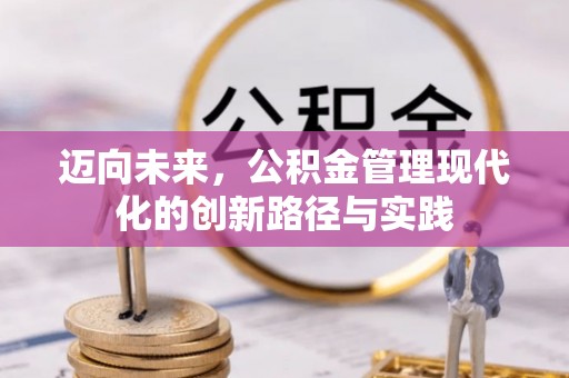 墨脱迈向未来，公积金管理现代化的创新路径与实践