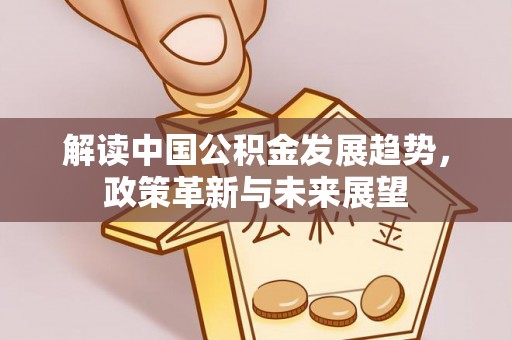 墨脱解读中国公积金发展趋势，政策革新与未来展望