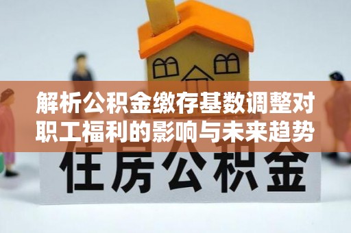 墨脱解析公积金缴存基数调整对职工福利的影响与未来趋势