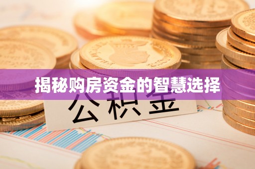 墨脱揭秘购房资金的智慧选择