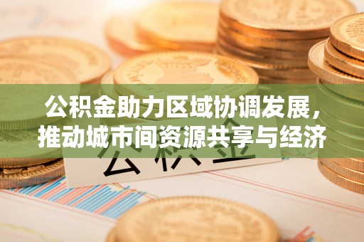 墨脱公积金助力区域协调发展，推动城市间资源共享与经济均衡发展