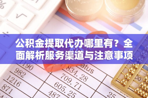 墨脱公积金提取代办哪里有？全面解析服务渠道与注意事项