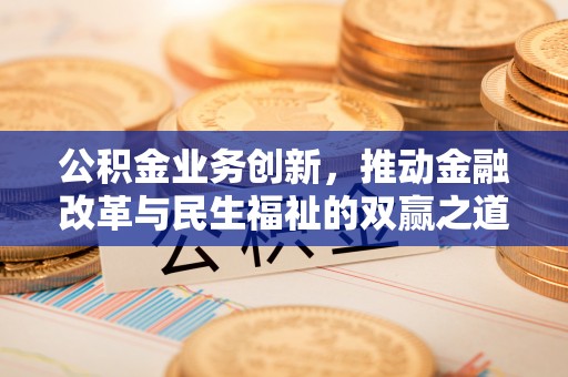 墨脱公积金业务创新，推动金融改革与民生福祉的双赢之道
