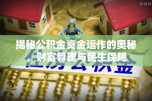 墨脱揭秘公积金资金运作的奥秘，财富管理与民生保障