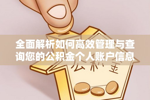 墨脱全面解析如何高效管理与查询您的公积金个人账户信息
