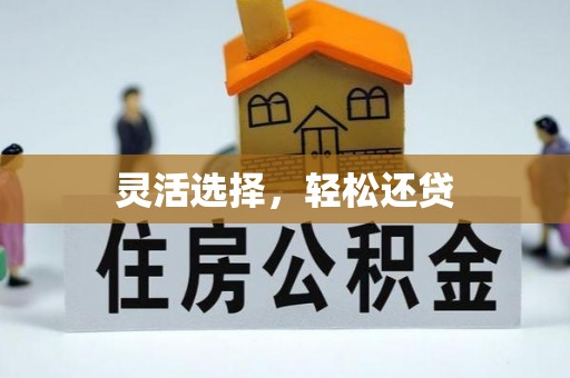墨脱灵活选择，轻松还贷