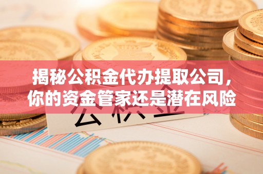 墨脱揭秘公积金代办提取公司，你的资金管家还是潜在风险？