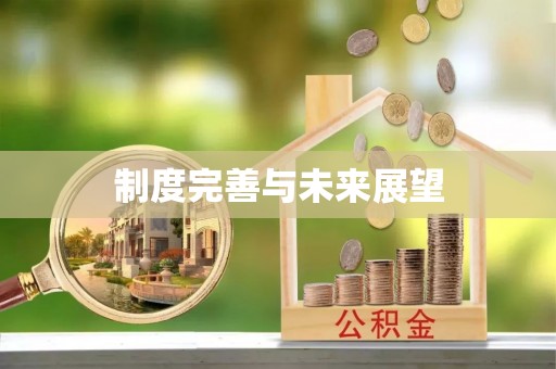 墨脱制度完善与未来展望