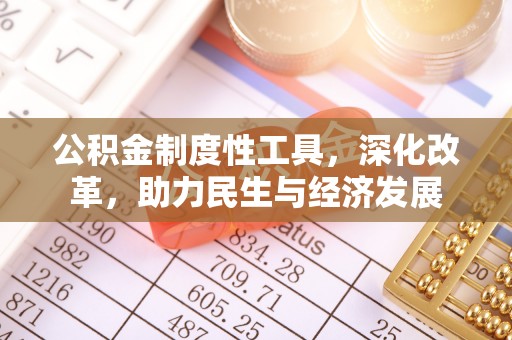 墨脱公积金制度性工具，深化改革，助力民生与经济发展
