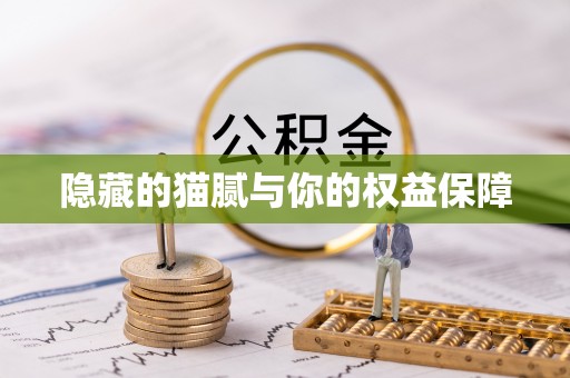 墨脱隐藏的猫腻与你的权益保障
