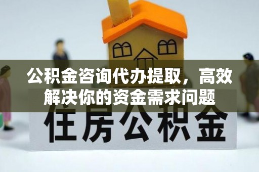 墨脱公积金咨询代办提取，高效解决你的资金需求问题
