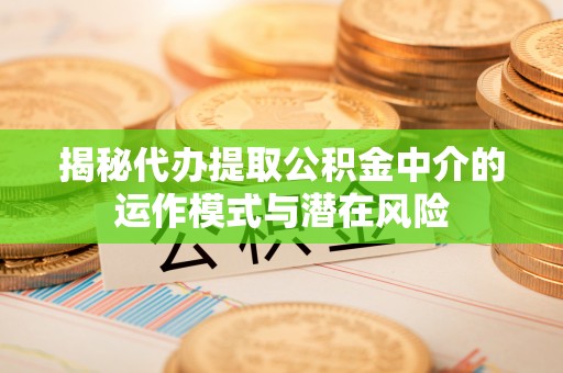 墨脱揭秘代办提取公积金中介的运作模式与潜在风险