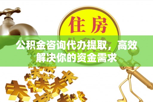 墨脱公积金咨询代办提取，高效解决你的资金需求