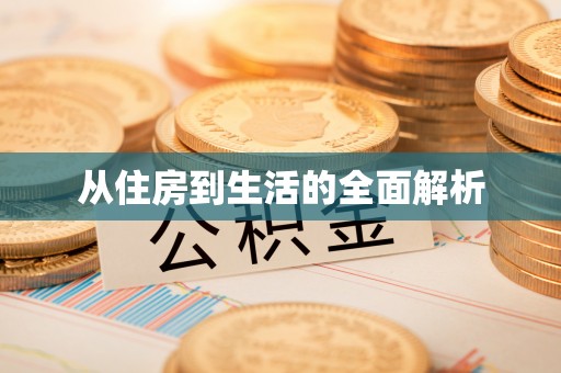 墨脱从住房到生活的全面解析
