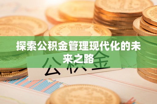 墨脱探索公积金管理现代化的未来之路