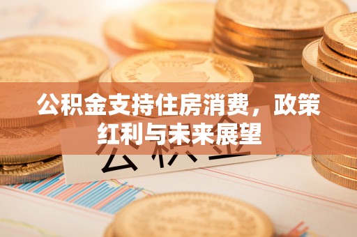 墨脱公积金支持住房消费，政策红利与未来展望