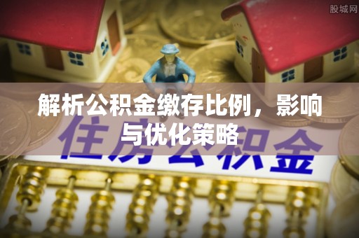 墨脱解析公积金缴存比例，影响与优化策略
