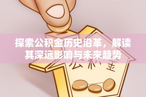 墨脱探索公积金历史沿革，解读其深远影响与未来趋势