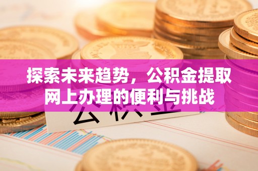墨脱探索未来趋势，公积金提取网上办理的便利与挑战