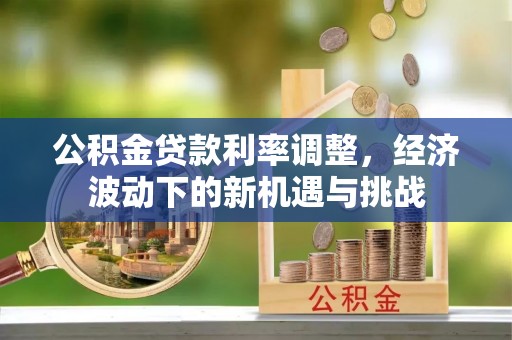 墨脱公积金贷款利率调整，经济波动下的新机遇与挑战