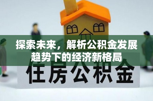 墨脱探索未来，解析公积金发展趋势下的经济新格局