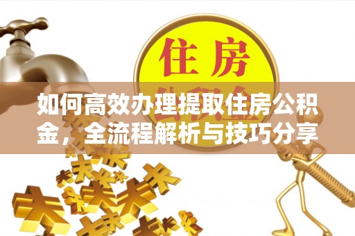 墨脱如何高效办理提取住房公积金，全流程解析与技巧分享