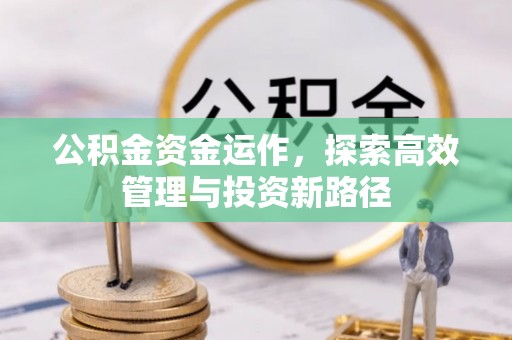 墨脱公积金资金运作，探索高效管理与投资新路径
