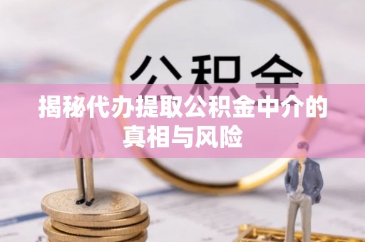 墨脱揭秘代办提取公积金中介的真相与风险
