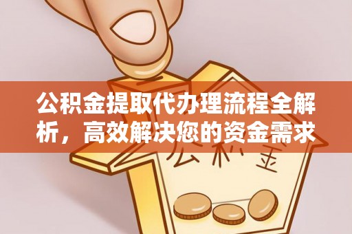 墨脱公积金提取代办理流程全解析，高效解决您的资金需求
