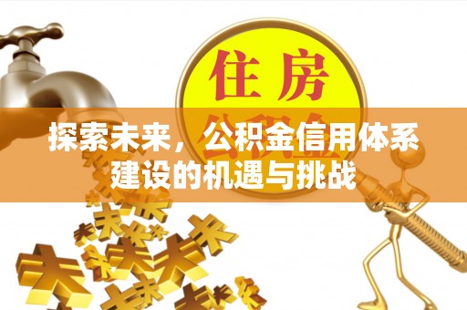 墨脱探索未来，公积金信用体系建设的机遇与挑战