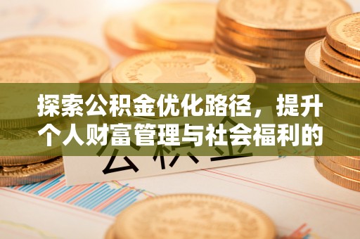 墨脱探索公积金优化路径，提升个人财富管理与社会福利的新方向