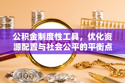 墨脱公积金制度性工具，优化资源配置与社会公平的平衡点