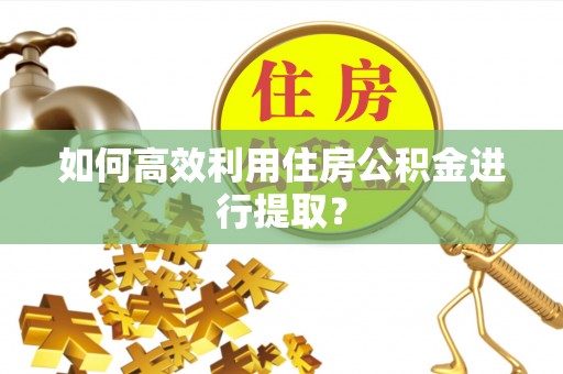 墨脱如何高效利用住房公积金进行提取？