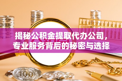 墨脱揭秘公积金提取代办公司，专业服务背后的秘密与选择指南