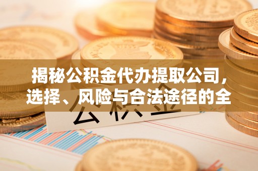 墨脱揭秘公积金代办提取公司，选择、风险与合法途径的全面解析